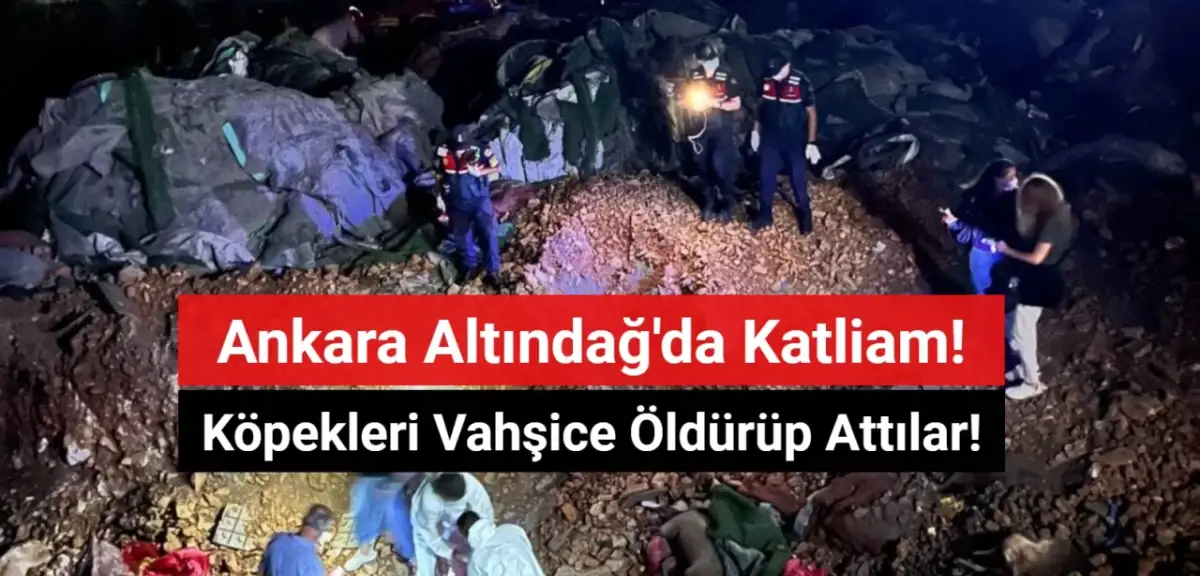 Ankara Altındağ'da Köpek Katliamı! Vahşice Öldürüp Attılar!