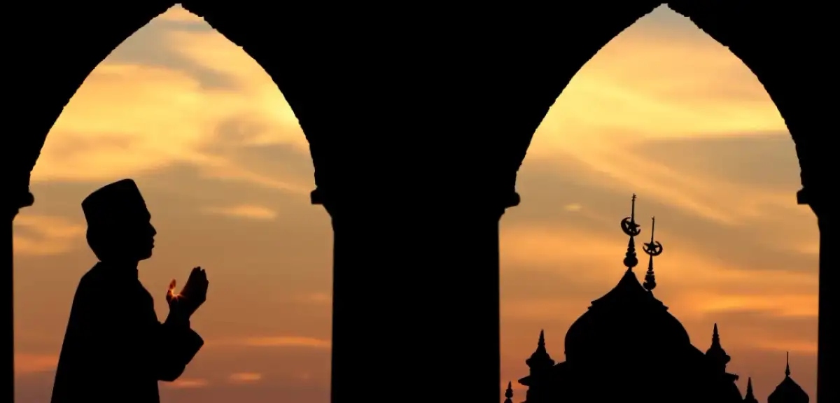 Bilmeden Domuz Eti Yedim, Ne Yapmalıyım? Domuz Etinin Sağlığa Zararları ve İslam'daki Hükümleri