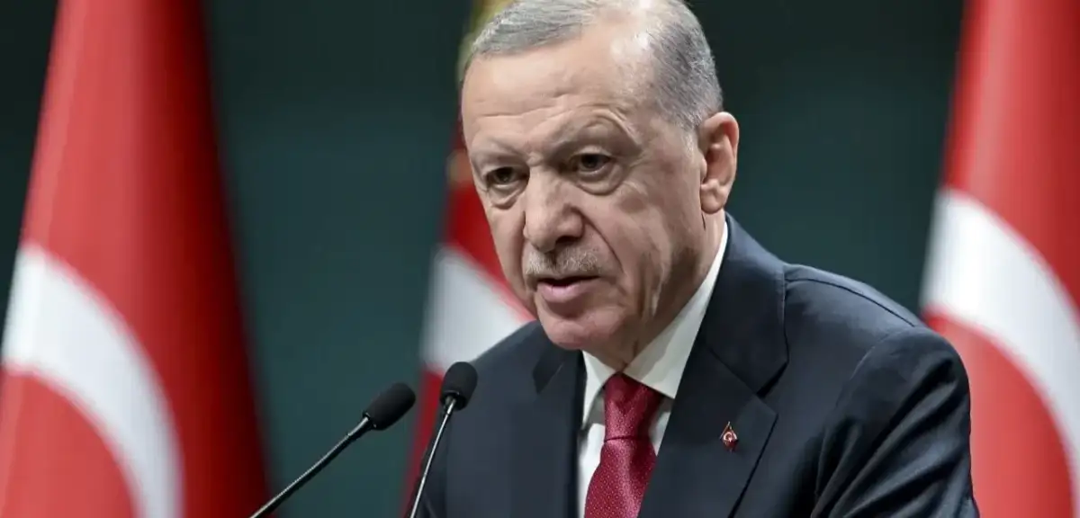 Cumhurbaşkanı Erdoğan'dan 'Ayşenur' Açıklaması