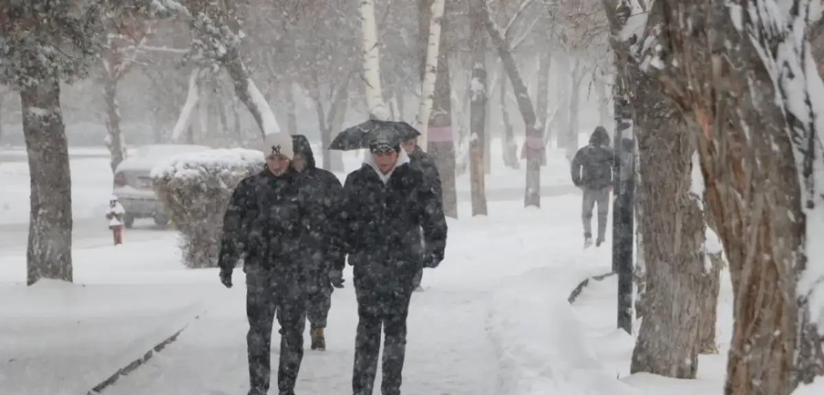 Erzurum'da Kar Yağışı Hayatı Durma Noktasına Getirdi: Bazı Yollar Kapandı