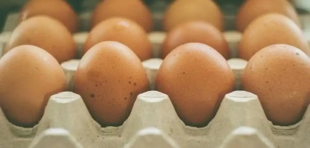 Günde Bir Yumurta Yemek O Hastalıktan Uzak Tutuyor! Zehir Gibi Hafızanın Sırrı Onda