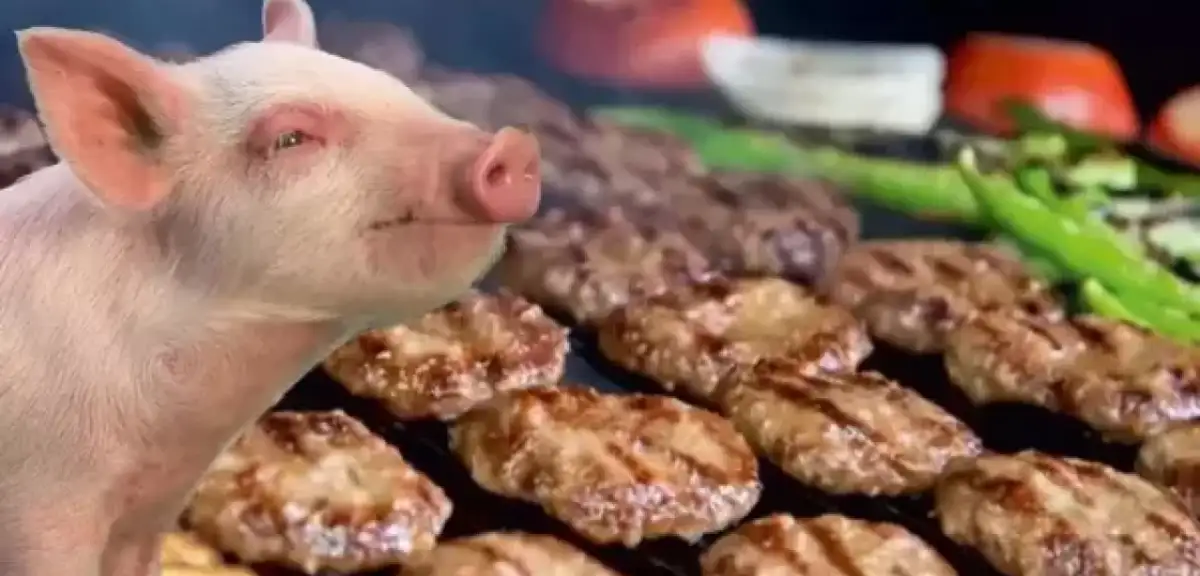 Köfteci Yusuf'taki Domuz Eti Skandalı Sonrası Uzmanlar Uyardı! Bu Belirtileri Taşıyanlar Hastaneye Koşsun..