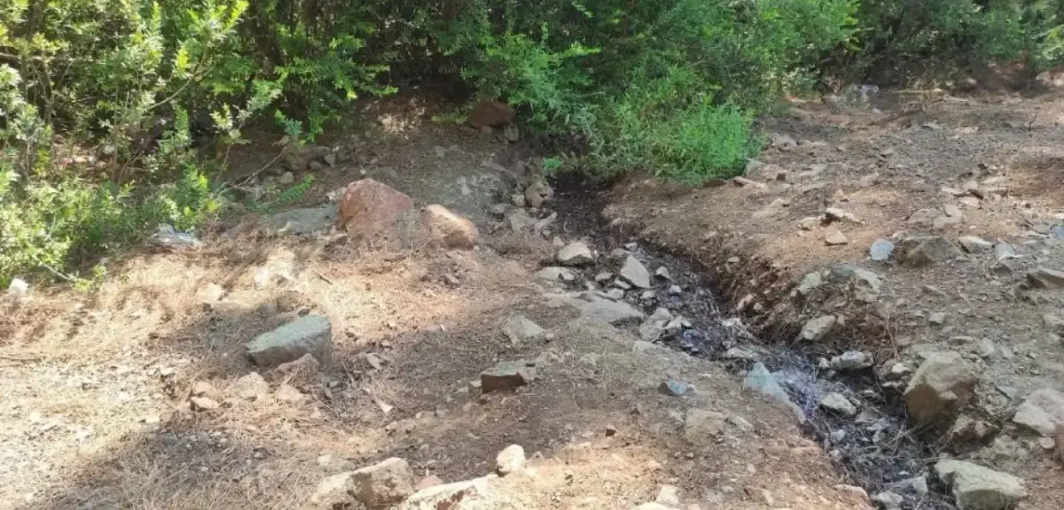 Muğla'da Ormana Terk Edilmiş Bebek Bulundu