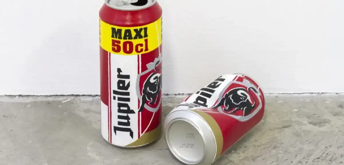 Müze Çalışanından Büyük Gaf: Sanat Eserini Çöp Sanıp Attı!
