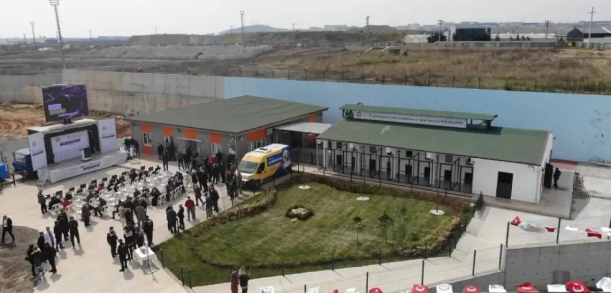 Onlarca Hayvan Katledildi: Gebze Belediyesi Hayvan Barınağı Nerede?