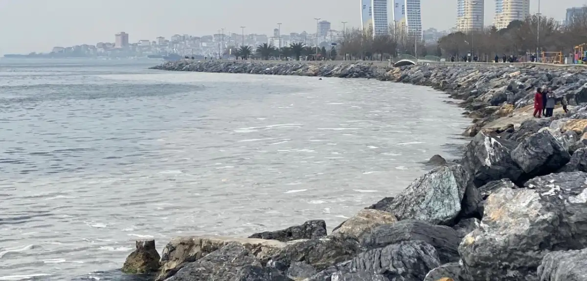 Pendik'te Korkunç Olay: 79 Yaşındaki Kadın Denize Atladı! İntihar Şüphesi Araştırılıyor
