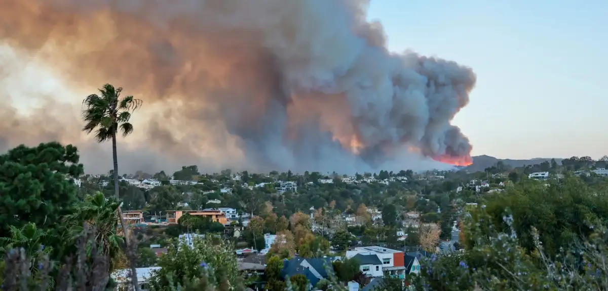 Los Angeles'ın Yaraları Sarılacak