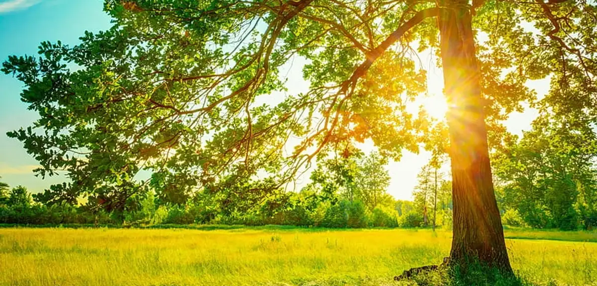 Havalar Ne Zaman Isınacak? Meteoroloji Hava Durumu Tahminini Paylaştı
