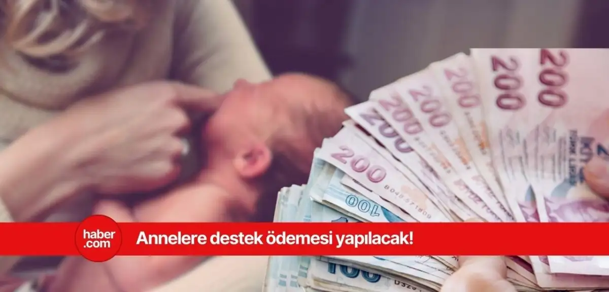 Doğum yapan annelere 395 bin TL verilecek! Duyduk duymadık demeyin