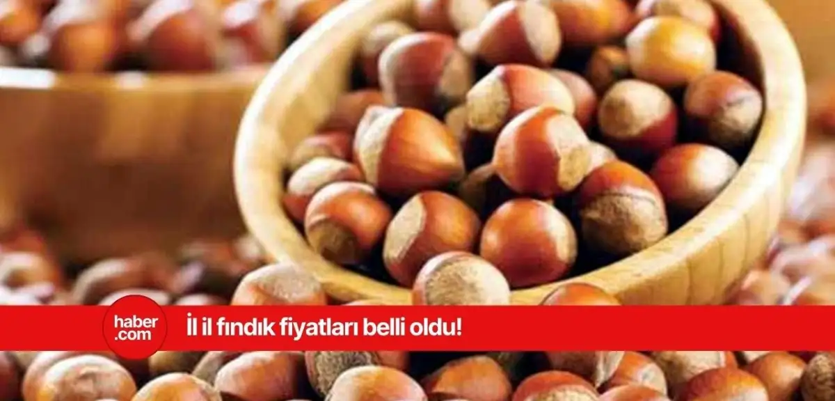 17 Mart 2025 Pazartesi Fındık Fiyatları