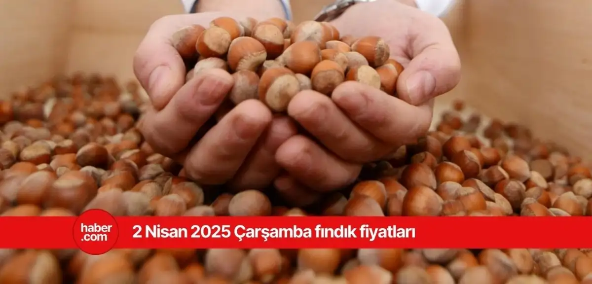 2 Nisan 2025 Çarşamba fındık fiyatları ne kadar? İl il fındık fiyatları