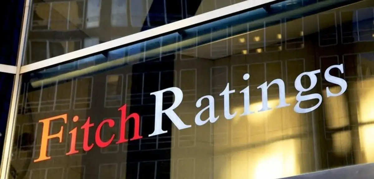 Fitch'ten TCMB Faiz Değerlendirmesi