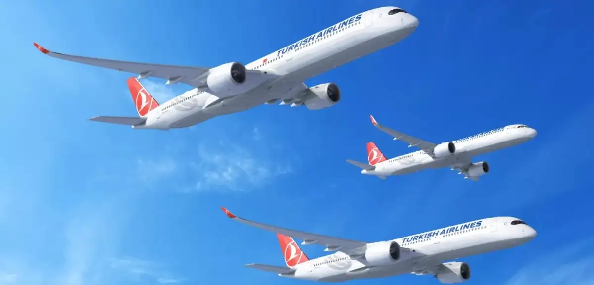 Türkiye'den Dört Ülkeye Seferler Durduruldu
