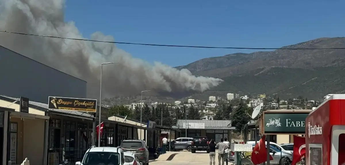 Hatay'da Ormanlık Alanda Yangın