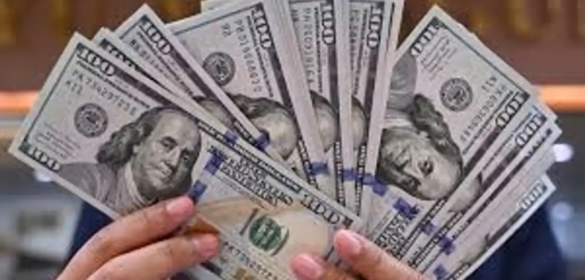 Dolar ve Euro'da Yeni Tahminler!
