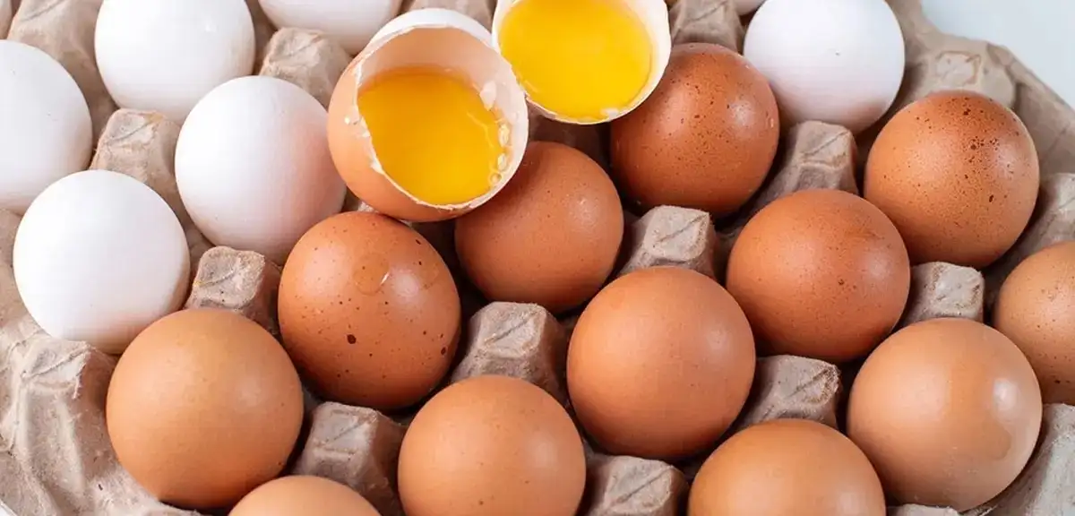 Yumurta Etiketlerinde Yeni Dönem