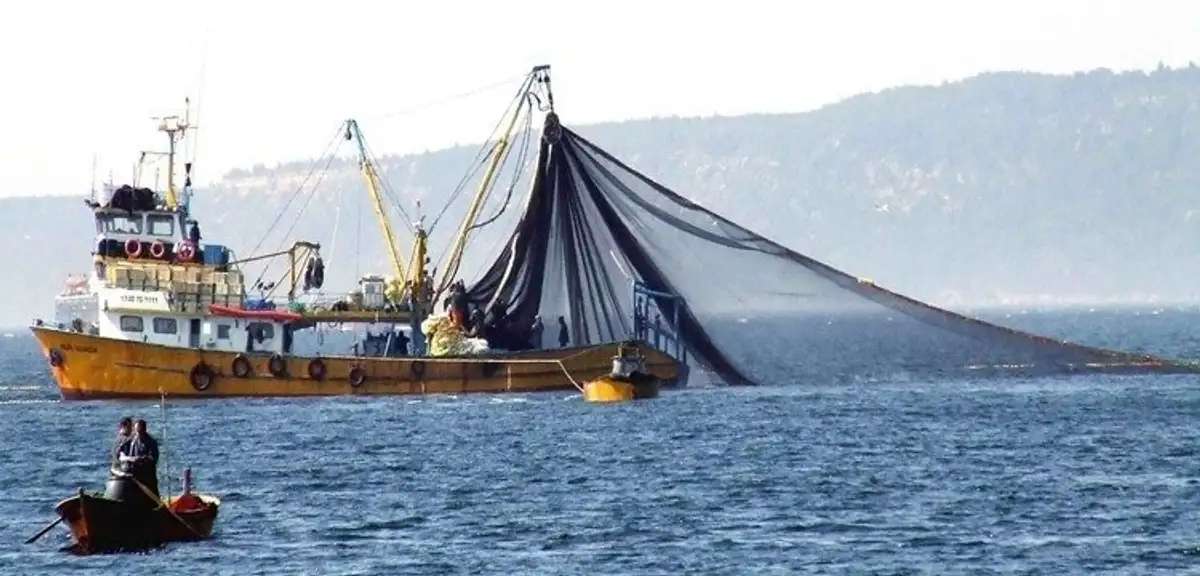 Karadenizli Balıkçılar Av Sezonuna Umutla Başladı