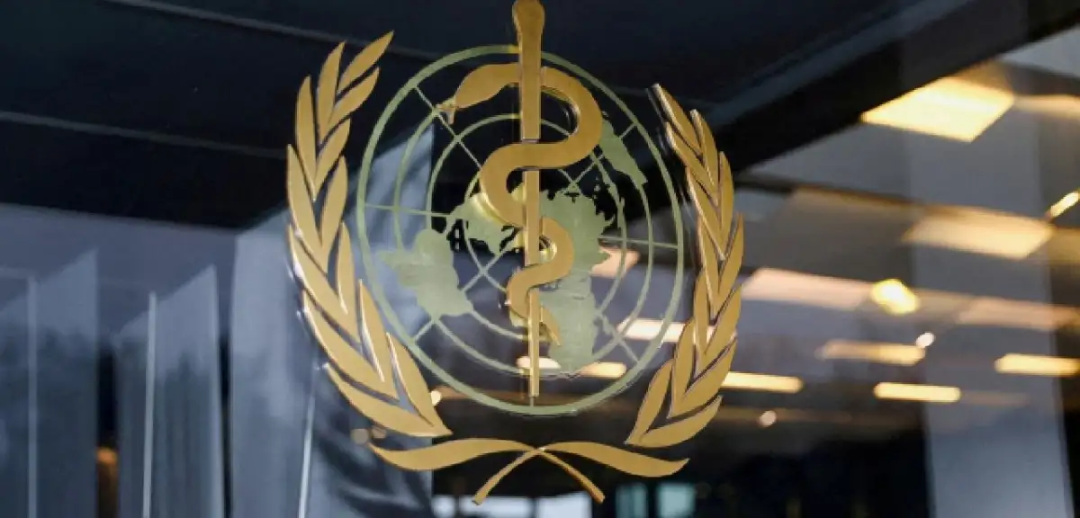 DSÖ'den Hantavirüs ve Ebola Açıklaması