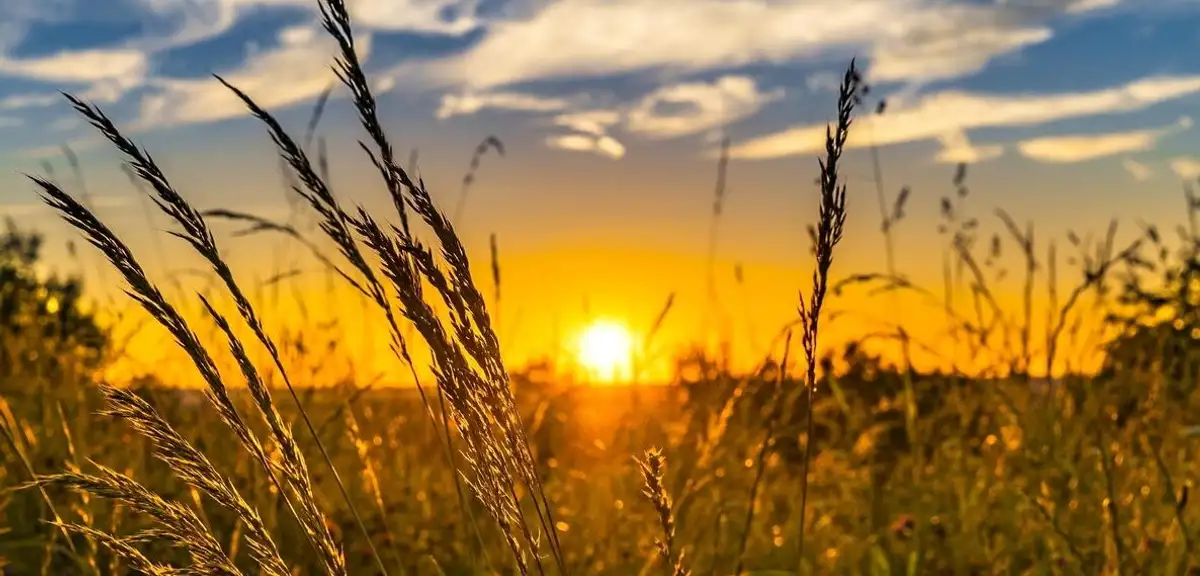 Türkiye'de 2026 Yazında "Süper El Nino" Alarmı!