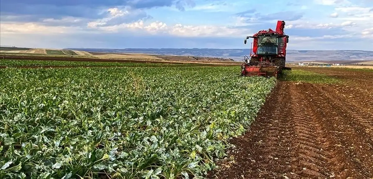 Çiftçinin Haziran Ayı Enflasyonu Belli Oldu