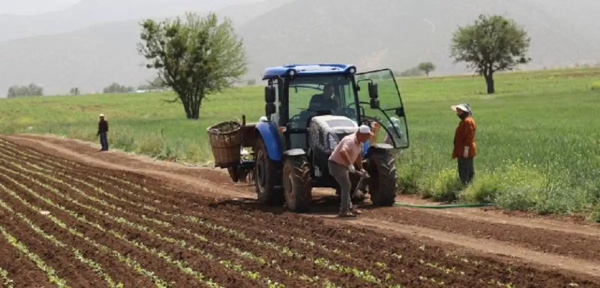 Bakan Yumaklı'dan Çiftçilere 301 Milyon Liralık Destek Müjdesi