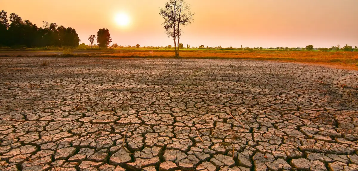 İklim Değişikliğinde Kritik Eşik Aşıldı: 150 Yılın En Güçlü El Nino Dönemi Yaşanıyor!