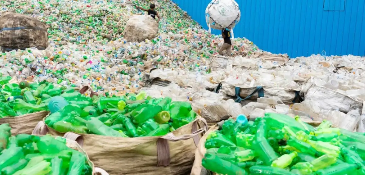 Bir Gece Ansızın Plastik Çöplerinizi Alabiliriz!