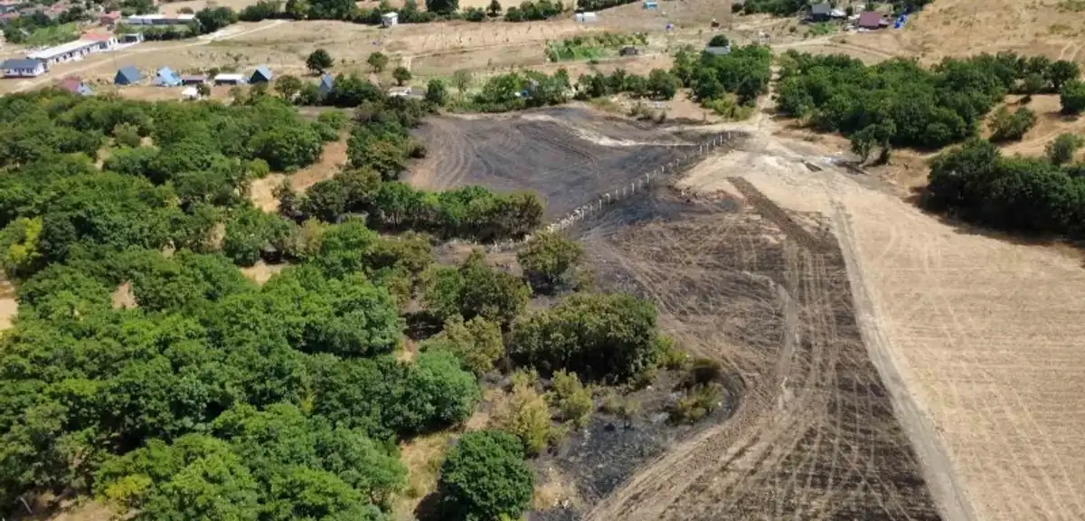 Balıkesir Gönen’de Korkutan Orman Yangını! Hasarın Boyutu Böyle Görüntülendi