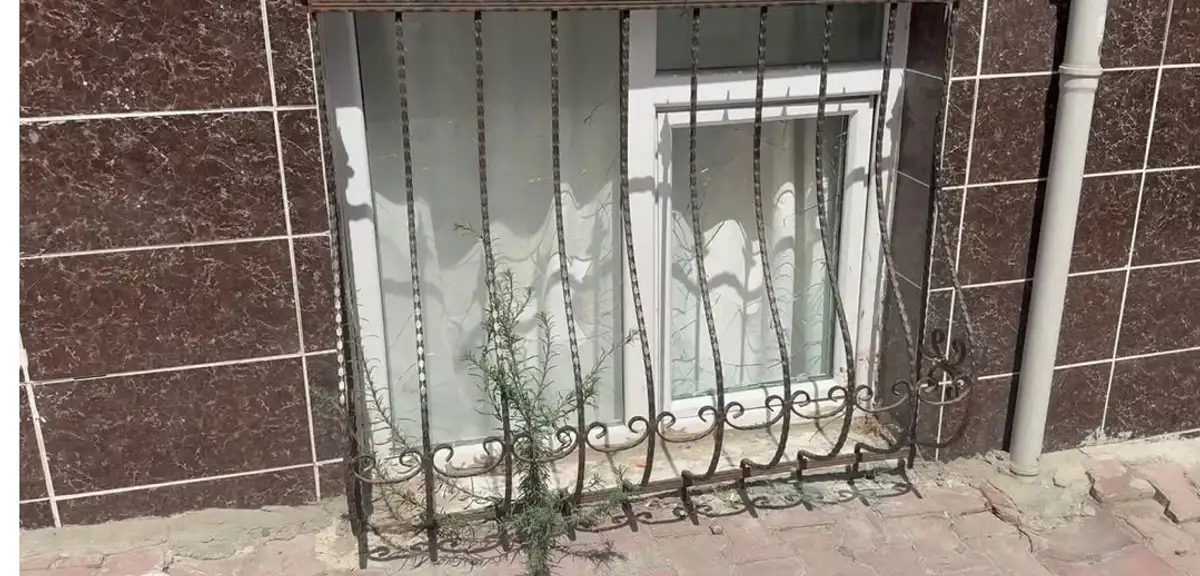 Eski Kız Arkadaşının Ailesinin Evini Benzinle Yaktı, 14 Suç Kaydı Ortaya Çıktı