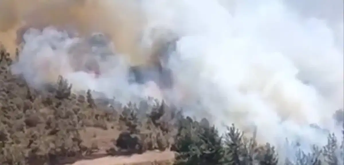 Balıkesir ve Muğla Yanıyor: İşte Yangınlarda Son Durum
