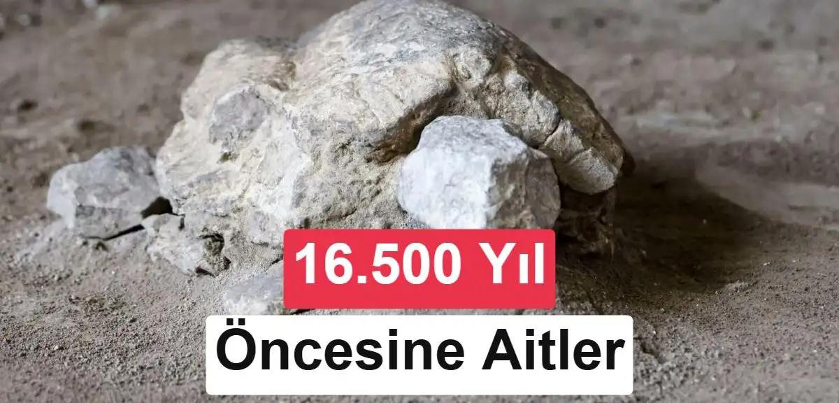 Bilecik’te 16.500 yıl öncesine ait kaplumbağa heykelleri bulundu