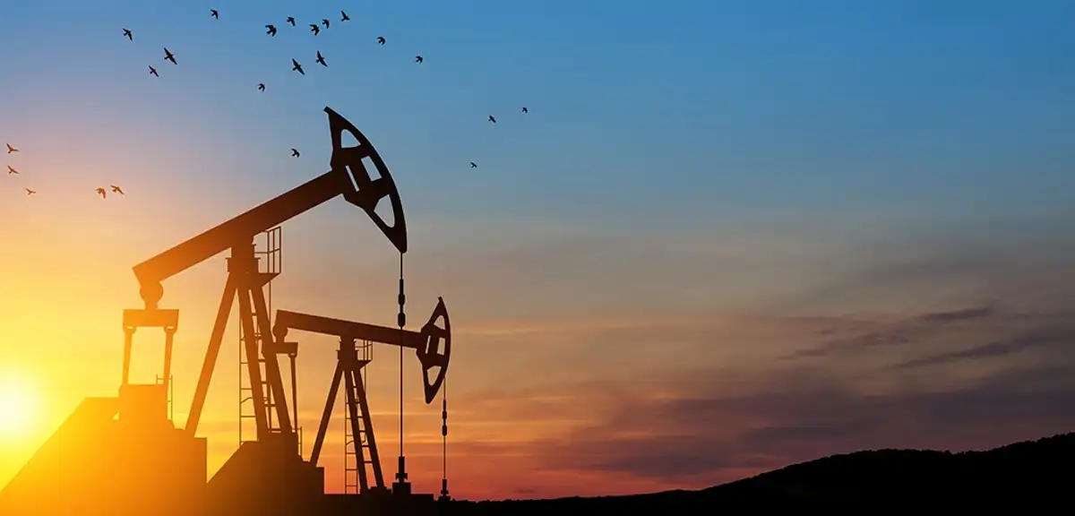 Petrol Fiyatlarında Sert Düşüş