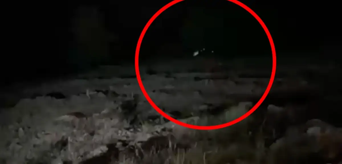 Bingöl Genç'te araç uçuruma yuvarlandı: 4 ölü, 5 yaralı
