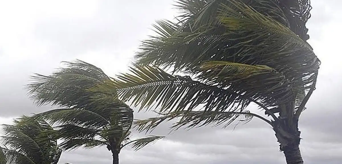 Muğla'da 8 ilçeye fırtına uyarısı: Rüzgar 70 km/sa hıza çıkacak