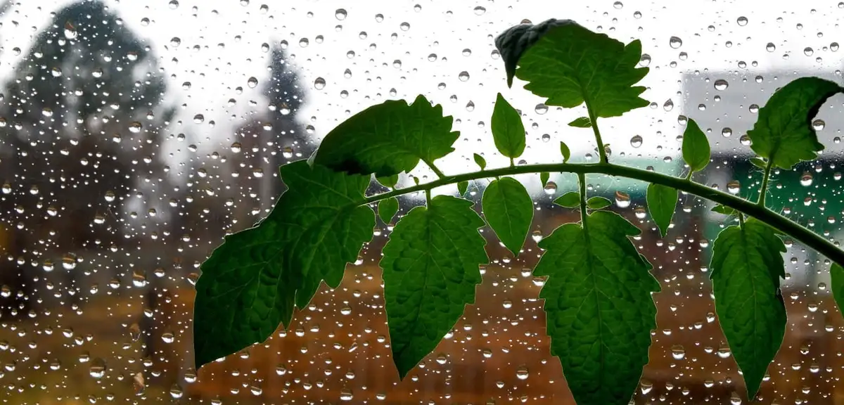 Meteoroloji ve AKOM’dan Peş Peşe Uyarı: 4 Kentte Sarı Kodlu Alarm