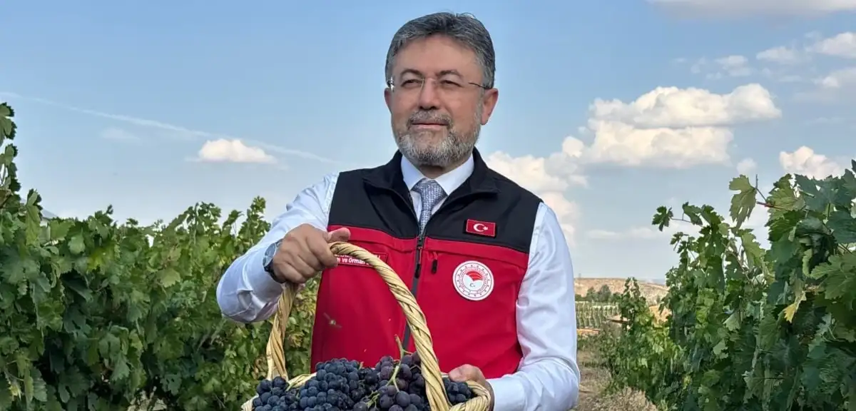 Bakan Yumaklı: "Üzüm Üretimi Bu Yıl 3 Milyon 850 Bin Tona Çıkacak"