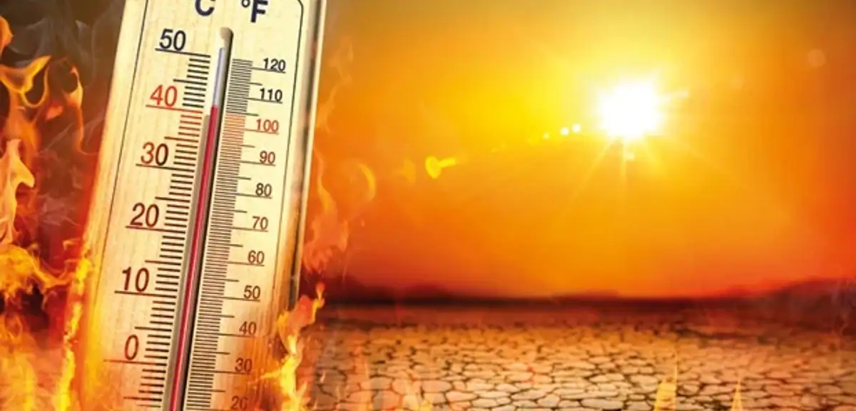 Chicago Üniversitesi: Godzilla El Nino 451 bin ek ölüme yol açabilir