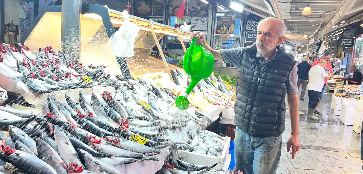 İzmir tezgahlarında palamut bolluğu: Tanesi 100 lira