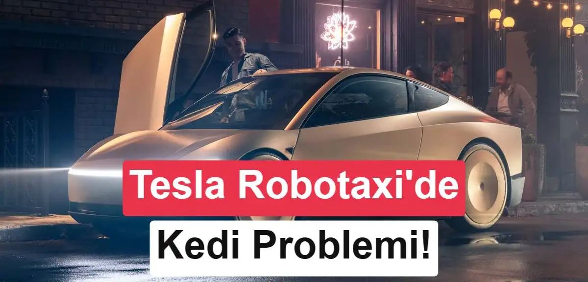 Elon Musk: Robotaksi'de karanlıkta kedileri algılamak zor