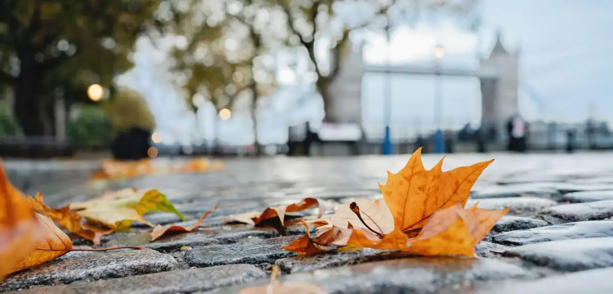 Meteoroloji'den 5 Bölge için Sağanak Yağış Uyarısı