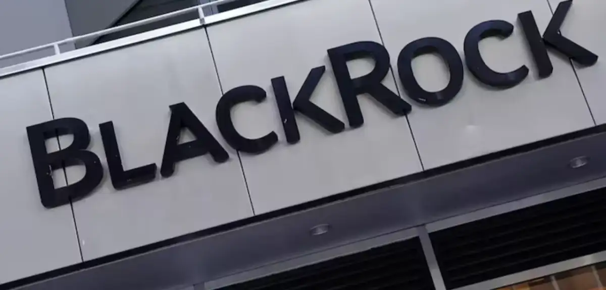BlackRock'un kârı ve geliri beklentileri aştı
