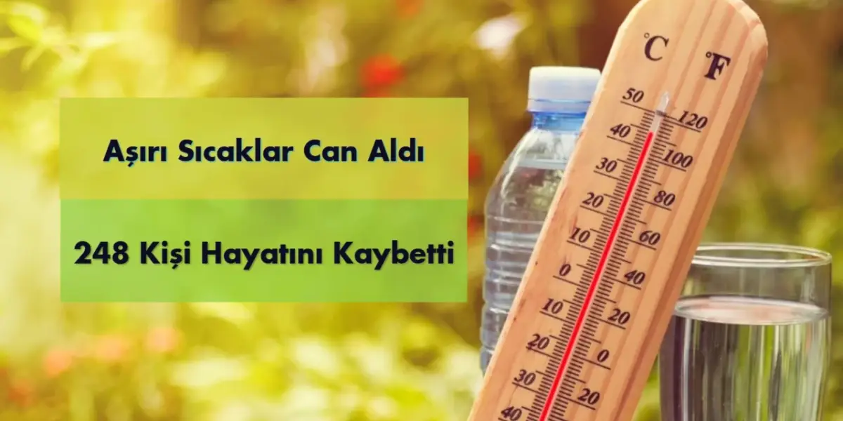 Aşırı Sıcaklar Can Aldı: 248 Kişi Hayatını Kaybetti