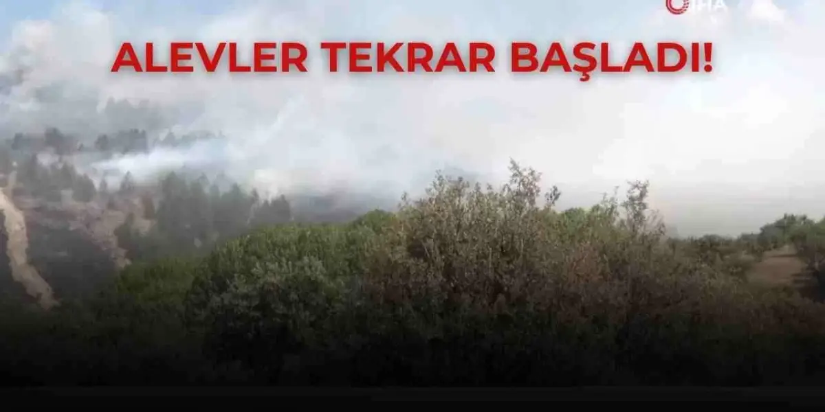 Bolu’da Kontrol Altına Alınan Yangın Tekrar Alevlendi!