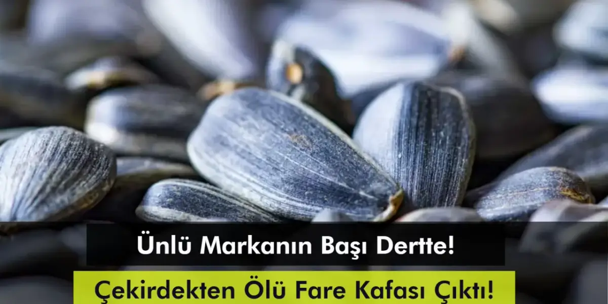 Çekirdekten Ölü Fare Kafası Çıktı! Paketinde 'Üstün Ödüllü' İbaresi Var!