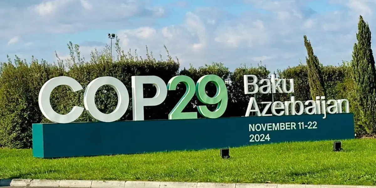 COP29 Zirvesi Heyecanı: Bakü'de Neler Bekleniyor?
