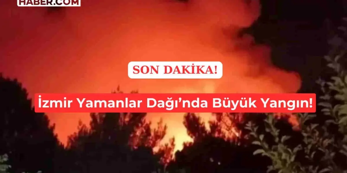 İzmir Yamanlar Dağı'nda Yeni Orman Yangını: Havadan ve Karadan Müdahale