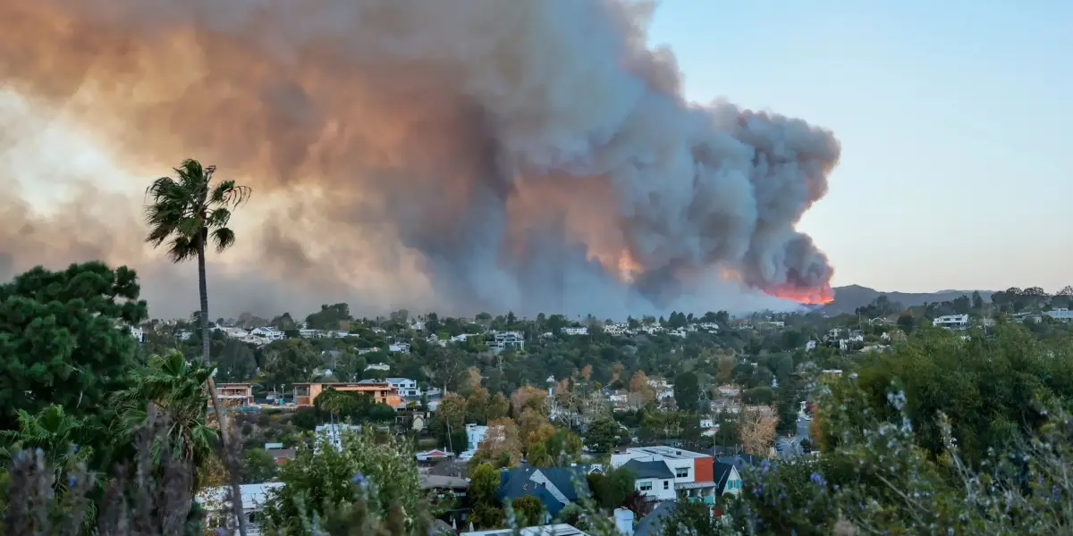 Los Angeles'ın Yaraları Sarılacak