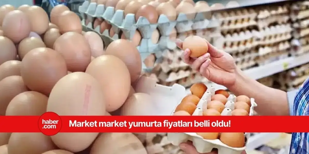 15'li, 30'lu yumurta fiyatları açıklandı! Bu marketlerde yumurta fiyatları çok uygun