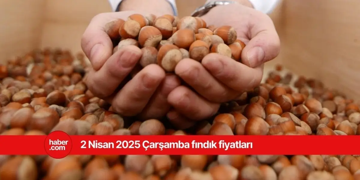 2 Nisan 2025 Çarşamba fındık fiyatları ne kadar? İl il fındık fiyatları