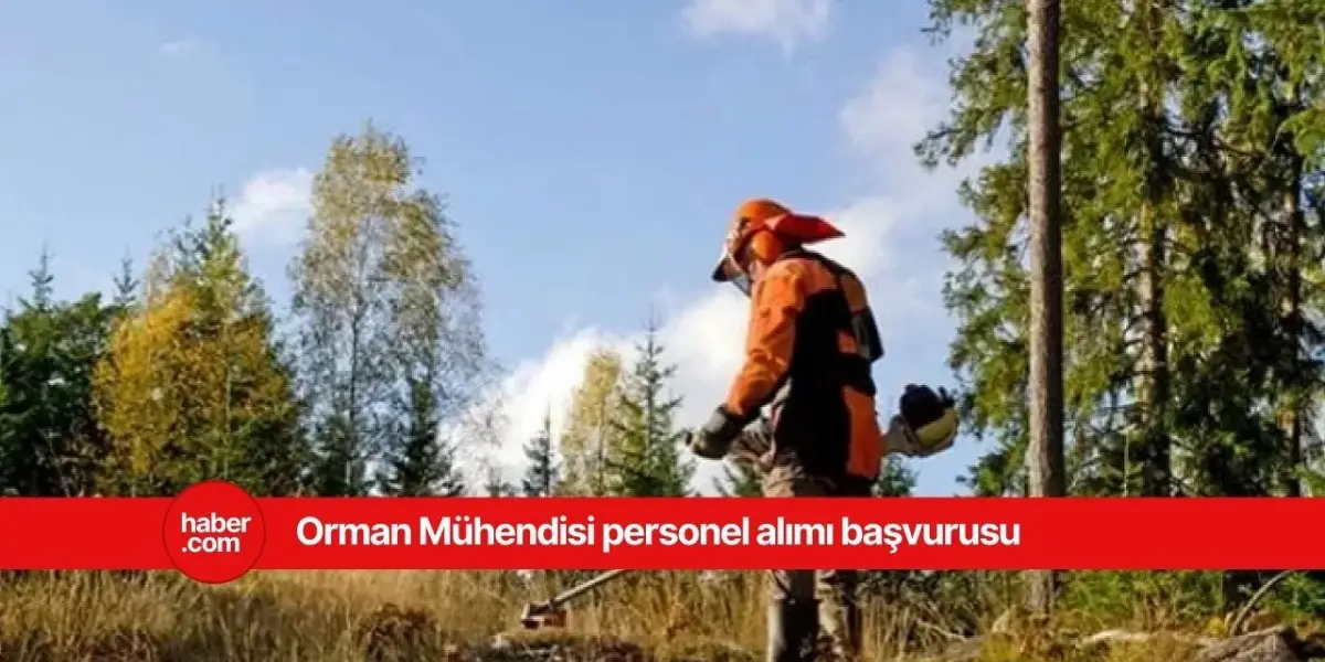 2025 OGM Orman Mühendisi alımı başvurusu!